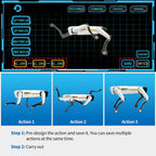 Smart Dog Multifunctional Toy